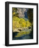 Golden Cottonwood Trees on Banks of the Virgin River, Zion National Park, Utah, USA-Ruth Tomlinson-Framed Photographic Print