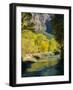 Golden Cottonwood Trees on Banks of the Virgin River, Zion National Park, Utah, USA-Ruth Tomlinson-Framed Photographic Print