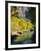 Golden Cottonwood Trees on Banks of the Virgin River, Zion National Park, Utah, USA-Ruth Tomlinson-Framed Photographic Print
