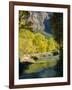 Golden Cottonwood Trees on Banks of the Virgin River, Zion National Park, Utah, USA-Ruth Tomlinson-Framed Photographic Print