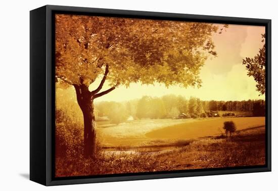 Golden Country-Anna Polanski-Framed Stretched Canvas