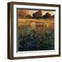 Golden Creek-Philip Craig-Framed Giclee Print