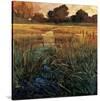 Golden Creek-Philip Craig-Stretched Canvas