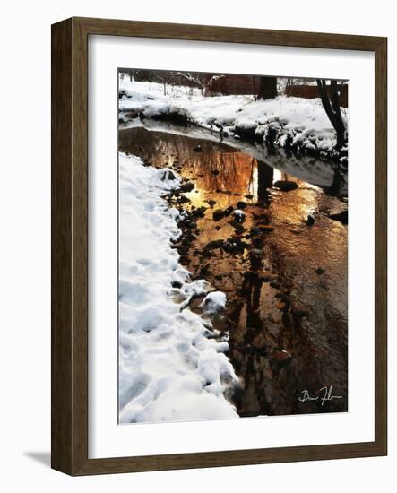 Golden Creek-5fishcreative-Framed Giclee Print