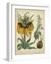 Golden Crown Imperial-Sydenham Teast Edwards-Framed Art Print
