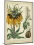 Golden Crown Imperial-Sydenham Teast Edwards-Mounted Art Print