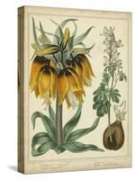 Golden Crown Imperial-Sydenham Teast Edwards-Stretched Canvas