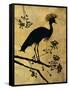 Golden Crowned Crane-Filippo Ioco-Framed Stretched Canvas