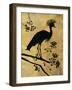 Golden Crowned Crane-Filippo Ioco-Framed Premium Giclee Print