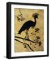 Golden Crowned Crane-Filippo Ioco-Framed Premium Giclee Print