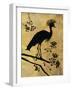 Golden Crowned Crane-Filippo Ioco-Framed Premium Giclee Print