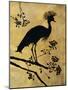 Golden Crowned Crane-Filippo Ioco-Mounted Premium Giclee Print