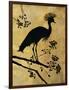 Golden Crowned Crane-Filippo Ioco-Framed Art Print