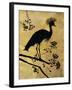 Golden Crowned Crane-Filippo Ioco-Framed Art Print