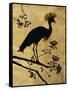 Golden Crowned Crane-Filippo Ioco-Framed Stretched Canvas