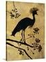 Golden Crowned Crane-Filippo Ioco-Stretched Canvas