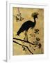 Golden Crowned Crane-Filippo Ioco-Framed Art Print