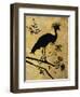 Golden Crowned Crane-Filippo Ioco-Framed Art Print