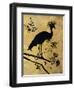 Golden Crowned Crane-Filippo Ioco-Framed Art Print