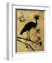 Golden Crowned Crane-Filippo Ioco-Framed Art Print