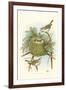Golden Crowned Kinglet Nest and Eggs-null-Framed Art Print