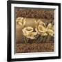 Golden Daffodils II-Linda Thompson-Framed Giclee Print