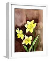 Golden Daffodils-Neela Pushparaj-Framed Photographic Print