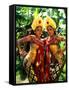 Golden Dancers in Traditional Dress, Bali, Indonesia-Bill Bachmann-Framed Stretched Canvas