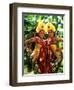 Golden Dancers in Traditional Dress, Bali, Indonesia-Bill Bachmann-Framed Premium Photographic Print