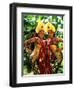 Golden Dancers in Traditional Dress, Bali, Indonesia-Bill Bachmann-Framed Premium Photographic Print