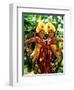 Golden Dancers in Traditional Dress, Bali, Indonesia-Bill Bachmann-Framed Premium Photographic Print