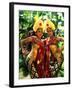 Golden Dancers in Traditional Dress, Bali, Indonesia-Bill Bachmann-Framed Photographic Print