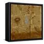 Golden Dawn II-Liz Jardine-Framed Stretched Canvas