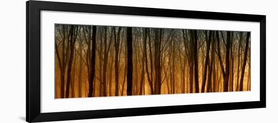 Golden Dawn-David Baker-Framed Photographic Print