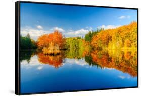 Golden Days-Philippe Sainte-Laudy-Framed Stretched Canvas