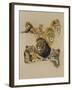 Golden Days-Barbara Keith-Framed Giclee Print