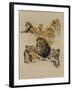 Golden Days-Barbara Keith-Framed Giclee Print