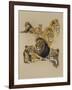 Golden Days-Barbara Keith-Framed Giclee Print