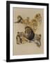 Golden Days-Barbara Keith-Framed Giclee Print