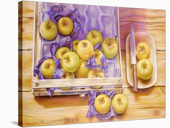 Golden Delicious, 1980-Sandra Lawrence-Stretched Canvas