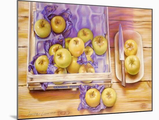 Golden Delicious, 1980-Sandra Lawrence-Mounted Giclee Print
