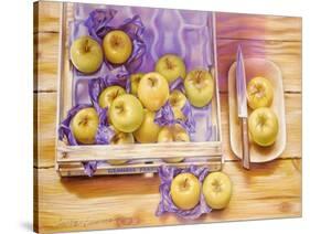 Golden Delicious, 1980-Sandra Lawrence-Stretched Canvas