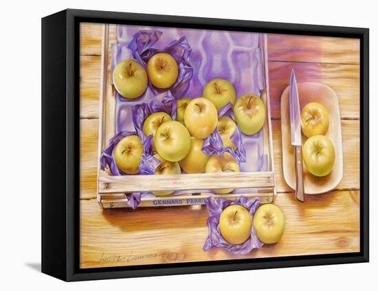 Golden Delicious, 1980-Sandra Lawrence-Framed Stretched Canvas