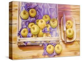 Golden Delicious, 1980-Sandra Lawrence-Stretched Canvas