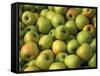 Golden Delicious Apples-Steve Terrill-Framed Stretched Canvas