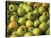 Golden Delicious Apples-Steve Terrill-Stretched Canvas