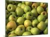 Golden Delicious Apples-Steve Terrill-Mounted Photographic Print