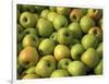 Golden Delicious Apples-Steve Terrill-Framed Photographic Print