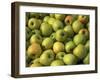 Golden Delicious Apples-Steve Terrill-Framed Photographic Print