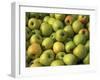 Golden Delicious Apples-Steve Terrill-Framed Photographic Print